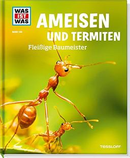 Was ist was Bd. 136: Ameisen und Termiten. Fleißige Baumeister