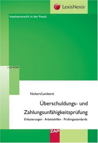 Überschuldens- und Zahlungsunfähigkeitsprüfung