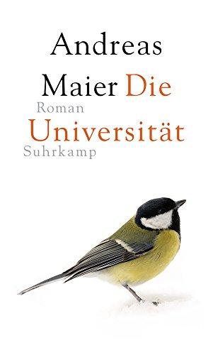 Die Universität: Roman