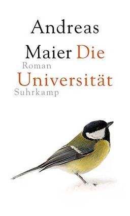 Die Universität: Roman