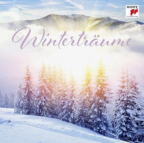 Winterträume