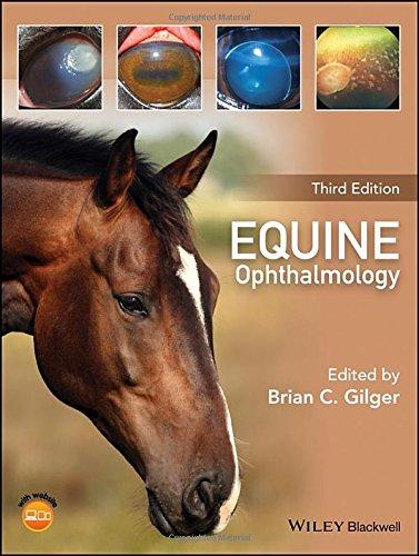 Equine Ophthalmology