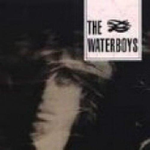 The Waterboys