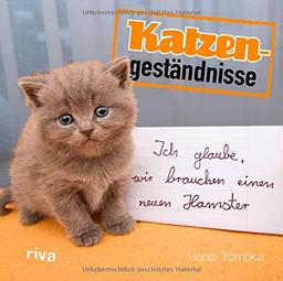 Katzengeständnisse: Ich glaube, wir brauchen einen neuen Hamster