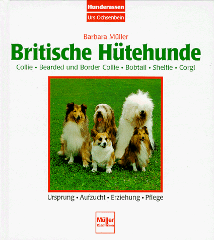 Britische Hütehunde