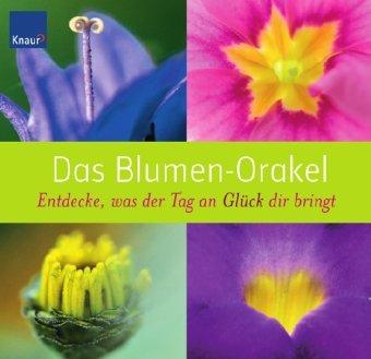 Das Blumen-Orakel: Entdecke, was der Tag an Glück dir bringt