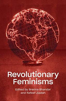 Revolutionary Feminisms: Conversations on Collective Action and Radical Thought