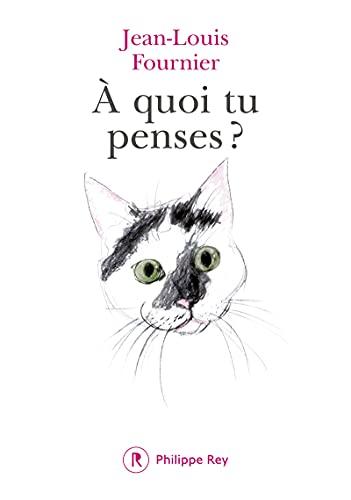 A quoi tu penses ?