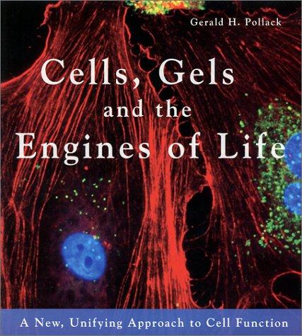 Cells, Gels and the Engines of Life: A New, Unifying Approach to Cell Function