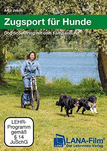 Zugsport für Hunde: Dog Scootering mit dem Familienhund