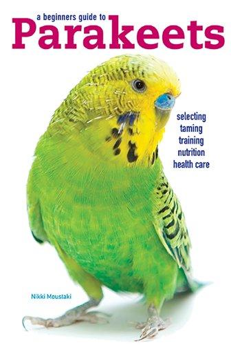 A Beginners Guide to Parakeets