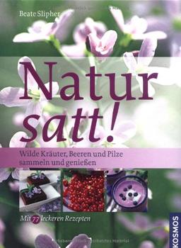 Natur satt!: Wilde Kräuter, Beeren und Pilze sammeln und genießen. MIt 77 leckeren Rezepten