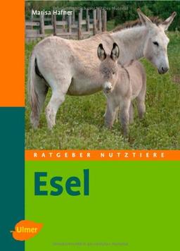 Esel -