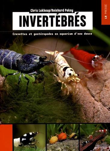 Invertébrés : crevettes et gastéropodes en aquarium d'eau douce