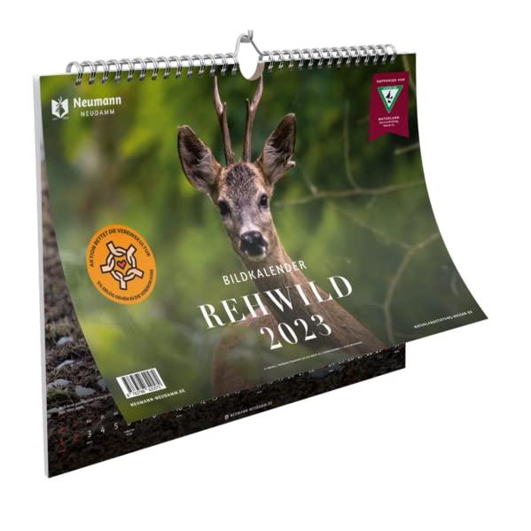 Rehwild Bildkalender 2023