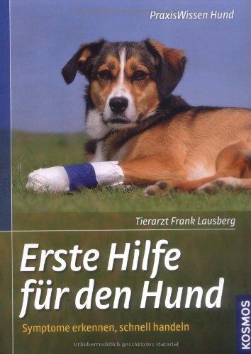 Erste Hilfe für den Hund: Symptome erkennen, schnell handeln