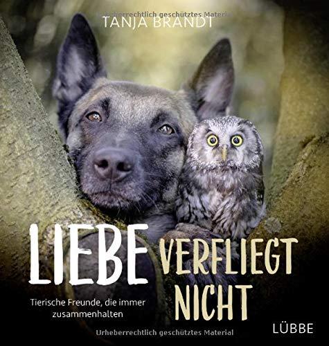 Liebe verfliegt nicht: Tierische Freunde, die immer zusammenhalten