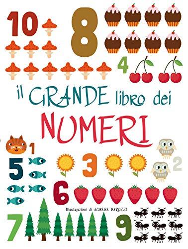 Il grande libro dei numeri. Ediz. a colori (Ragazzi 0-5)