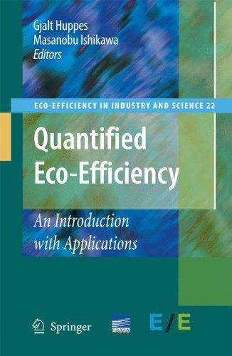 Quantified Eco-Efficiency: An Introduction with Applications (Eco-Efficiency in Industry and Science)