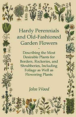 Hardy Perennials and Old-Fashioned Garden Flowers;Describing the Most Desirable Plants for Borders, Rockeries, and Shrubberies, Including Foliage as Well as Flowering Plants