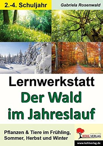 Lernwerkstatt Der Wald im Jahreslauf: Pflanzen & Tiere im Frühling, Sommer, Herbst und Winter