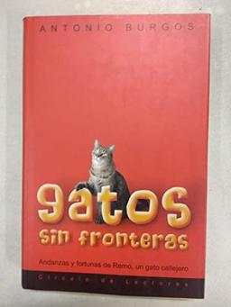 Gatos sin fronteras: andanzas y fortunas de Remo, un gato callejero