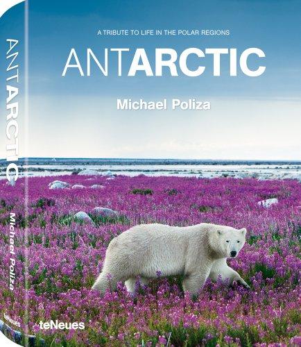 ANTARCTIC  - Life in the Polar Regions