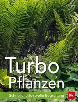 Turbo-Pflanzen: Schnelle, effektvolle Begrünung