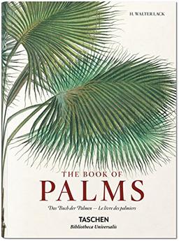 The book of palms. Das Buch der Palmen. Le livre des palmiers