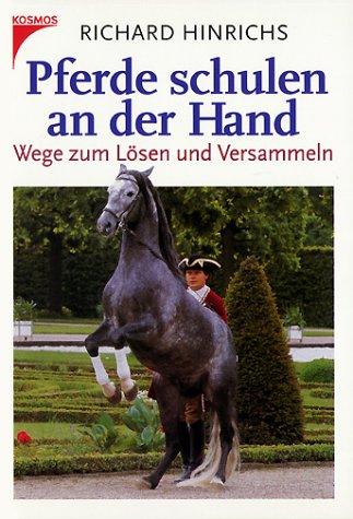 Pferde schulen an der Hand