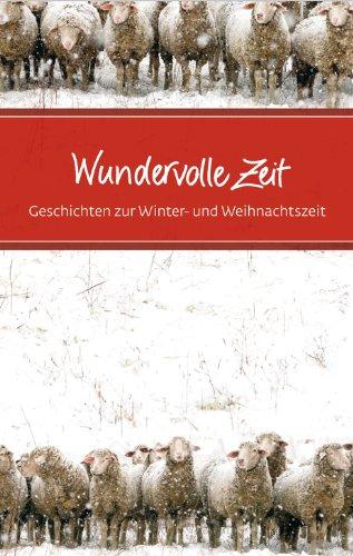 Wundervolle Zeit: Geschichten für die Winter- und Weihnachtszeit