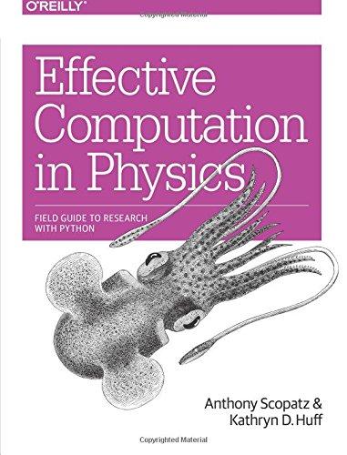 Effective Computation in Physics