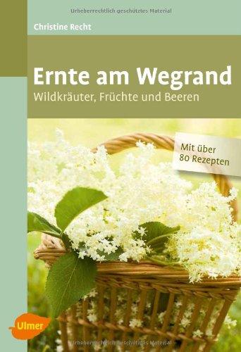 Ernte am Wegrand: Wildkräuter, Früchte und Beeren