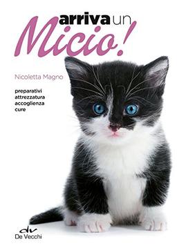 Arriva un micio! (Animali)