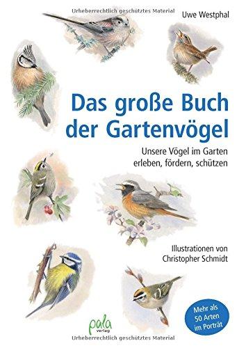 Das große Buch der Gartenvögel: Unsere Vögel im Garten erleben, fördern, schützen