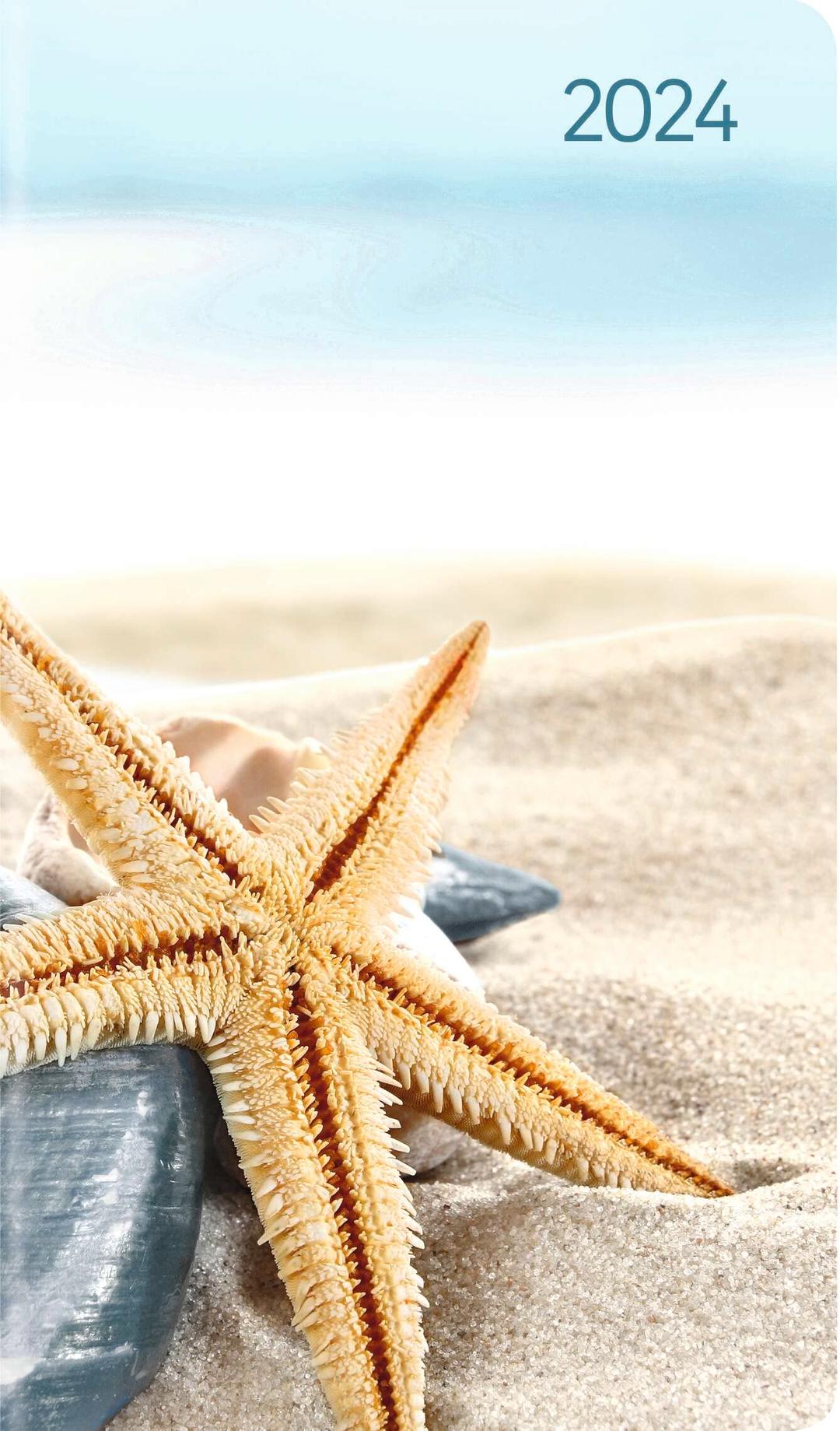 Ladytimer Slim Sea Star 2024 - Taschen-Kalender 9x15,6 cm - Seestern - Weekly - 128 Seiten - Notiz-Buch - Alpha Edition