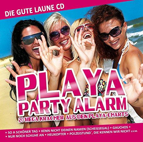 Playa Party Alarm