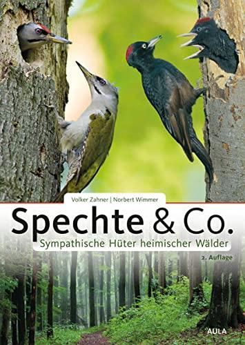 Spechte & Co.: Sympathische Hüter heimischer Wälder