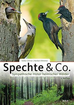 Spechte & Co.: Sympathische Hüter heimischer Wälder