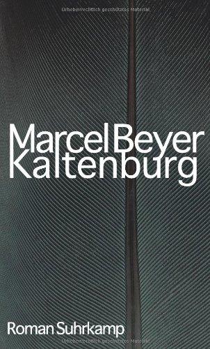 Kaltenburg: Roman