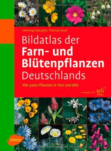 Bildatlas der Farn- und Blütenpflanzen Deutschlands: Alle 4200 Pflanzen in Text und Bild