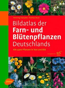 Bildatlas der Farn- und Blütenpflanzen Deutschlands: Alle 4200 Pflanzen in Text und Bild