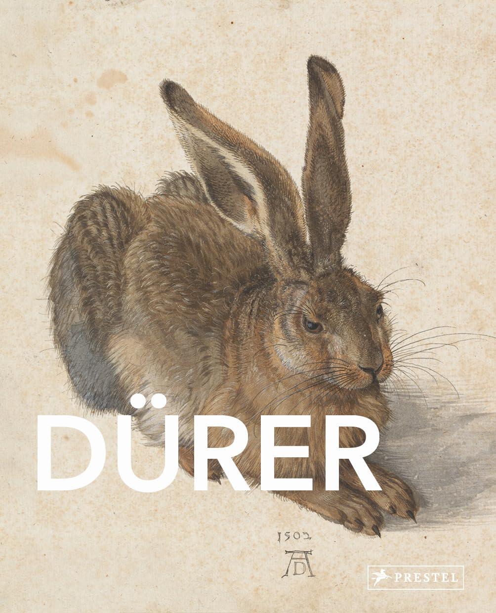 Große Meister der Kunst: Dürer: Große Meister der Kunst. Mit zahlreichen Farbabbildungen