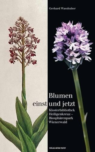 Blumen einst und jetzt: Klosterbibliothek Heiligenkreuz - Biosphärenpark Wienerwald