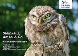 Steinkauz, Amsel & Co.: Natur in Rheinhessen