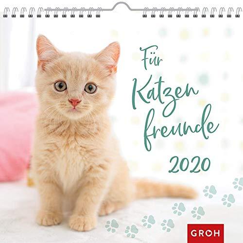 Für Katzenfreunde 2020: Dekorativer Wandkalender mit Monatskalendarium