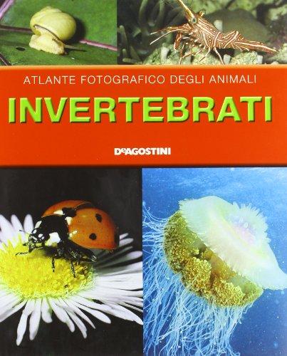 Invertebrati