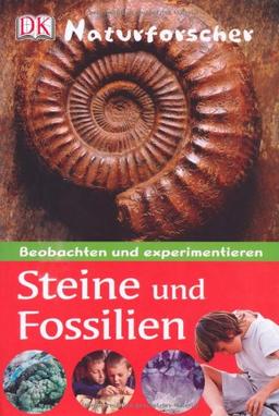 Naturforscher - Steine und Fossilien: Beobachten und experimentieren