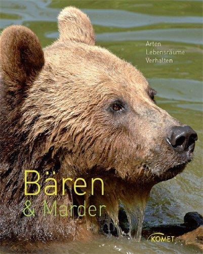 Bären & Marder: Arten, Lebensräume, Verhalten