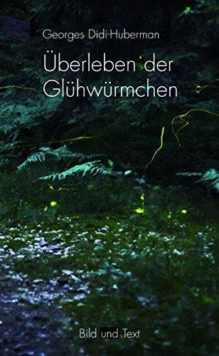 Überleben der Glühwürmchen (Bild und Text)